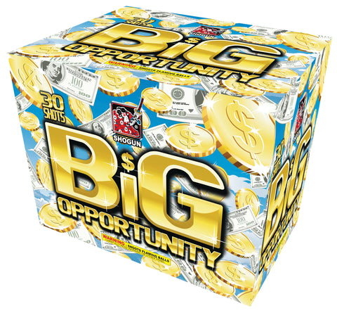 Big Opportunity