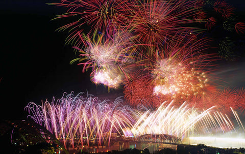 Rozzi's Famous Fireworks