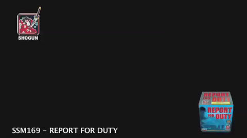 Report for Duty