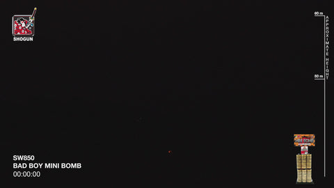 Bad Boy Mini Bomb